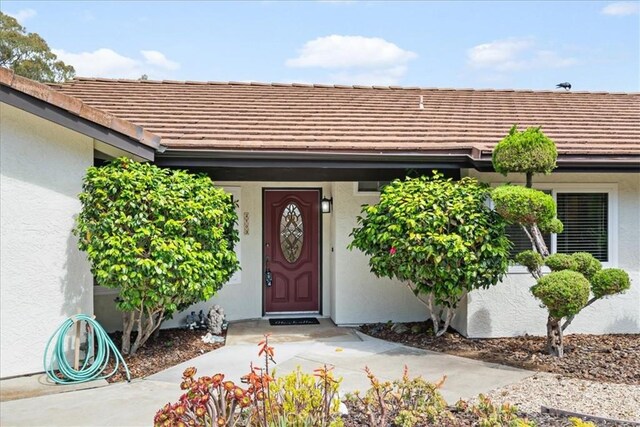 2703 Rodman Dr, Los Osos, CA 93402 - photo 5