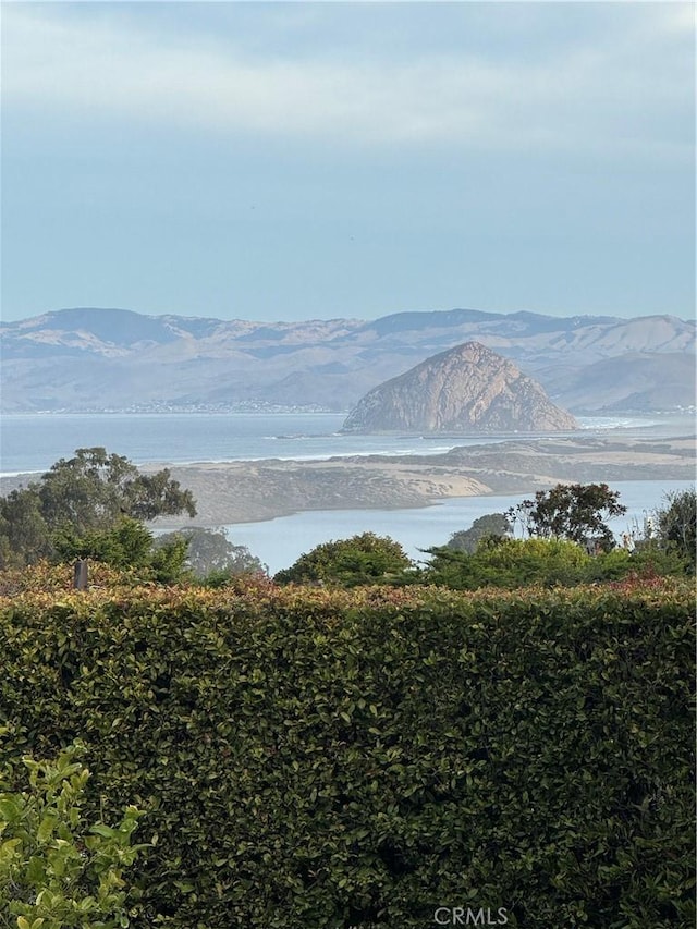 2703 Rodman Dr, Los Osos, CA 93402 - photo 37