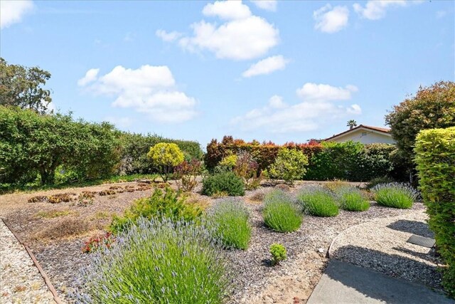 2703 Rodman Dr, Los Osos, CA 93402 - photo 39