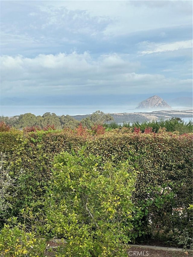 2703 Rodman Dr, Los Osos, CA 93402 - photo 3