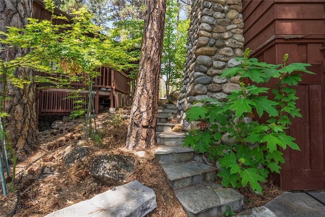 2576 Chilnualna Ln, Wawona, CA 95389 - view of yard