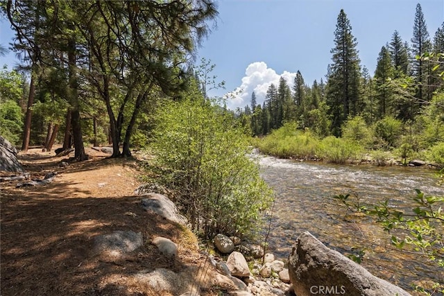 2576 Chilnualna Ln, Wawona, CA 95389 - view of road