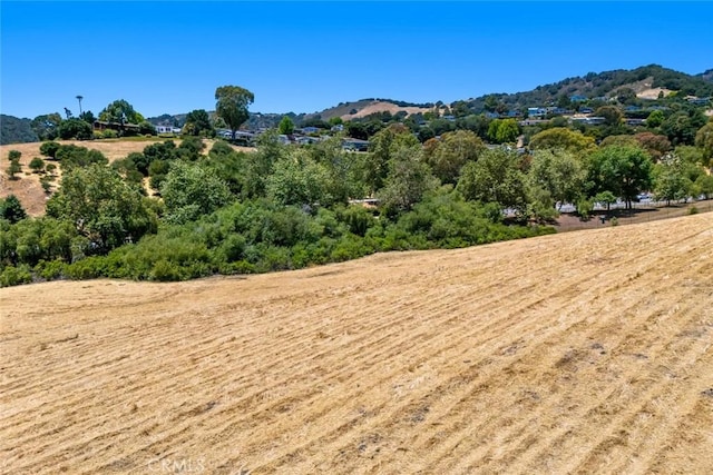 1590 Apple Orchard Ln, Avila Beach, CA 93405 - photo 9