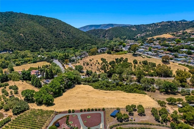 1590 Apple Orchard Ln, Avila Beach, CA 93405 - photo 17