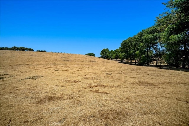 1590 Apple Orchard Ln, Avila Beach, CA 93405 - photo 6