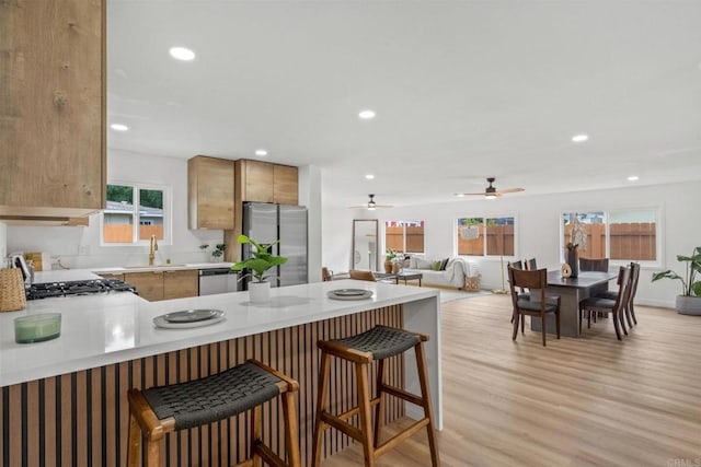 508 Village View Pl, Fallbrook, CA 92028 - kitchen featuring stainless steel appliances, a peninsula, light countertops, a kitchen bar, and light wood-style floors