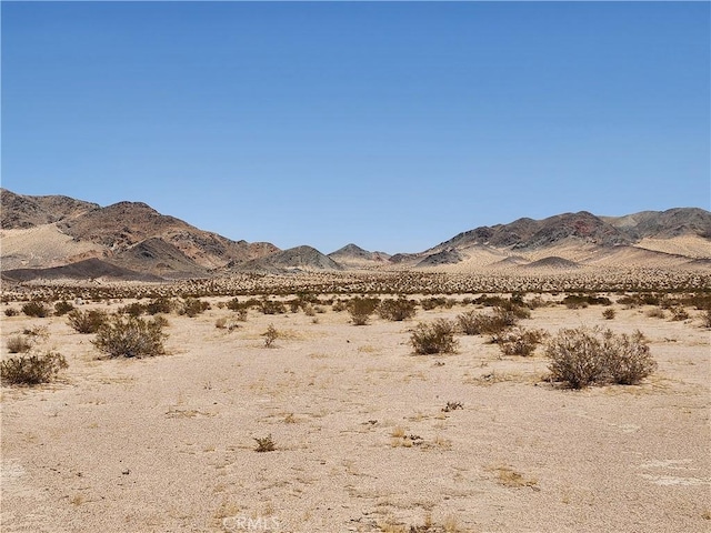 36955 Troy Rd, Newberry Springs, CA 92365 - photo 12