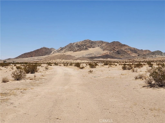 36955 Troy Rd, Newberry Springs, CA 92365 - photo 11
