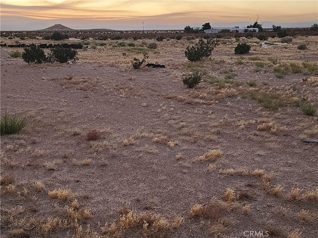 36955 Troy Rd, Newberry Springs, CA 92365 - photo 3