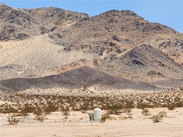 36955 Troy Rd, Newberry Springs, CA 92365 - photo 19
