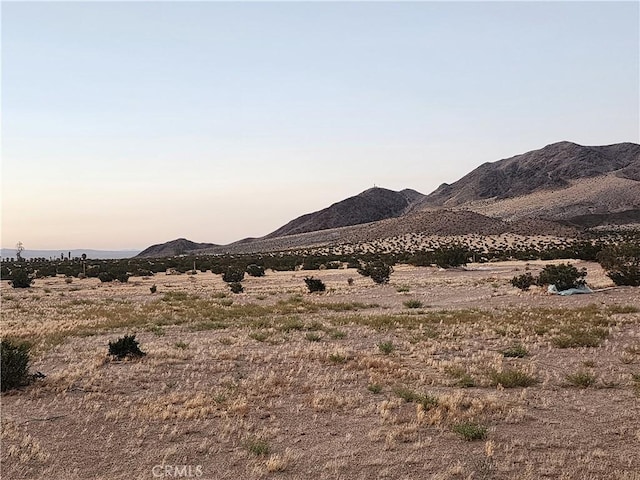 36955 Troy Rd, Newberry Springs, CA 92365 - photo 6
