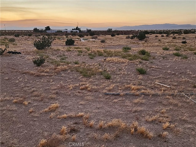 36955 Troy Rd, Newberry Springs, CA 92365 - photo 2