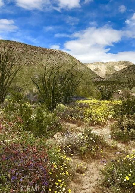 0 Borrego Springs Rd, Borrego Springs, CA 92004