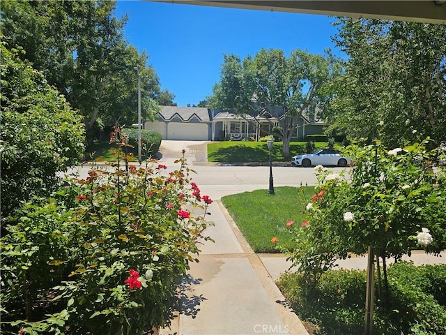 41710 Crispi Ln, Lancaster, CA 93536 - view of yard