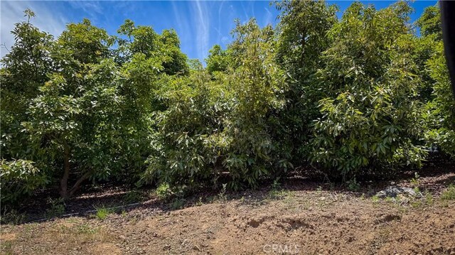 45100 La Cruz Dr, Temecula, CA 92590 - photo 46