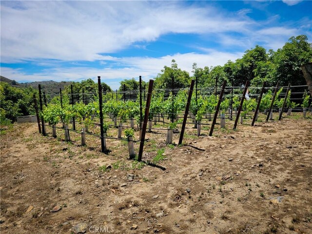 45100 La Cruz Dr, Temecula, CA 92590 - photo 35
