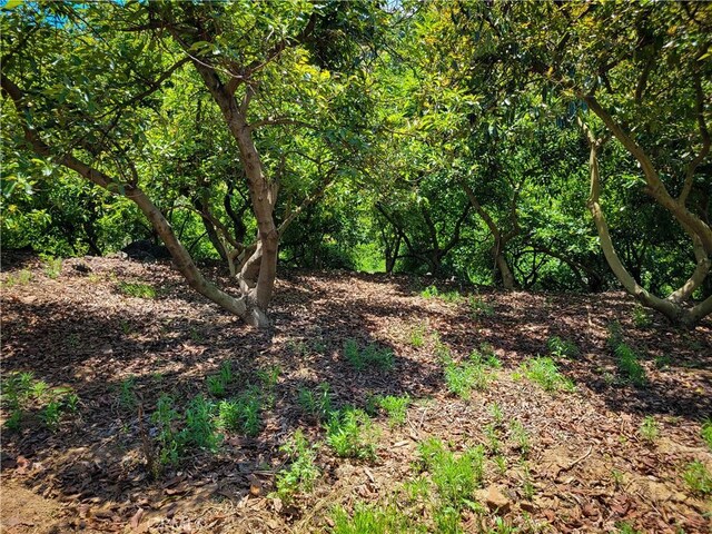 45100 La Cruz Dr, Temecula, CA 92590 - photo 29