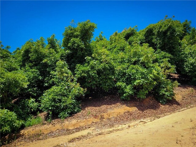 45100 La Cruz Dr, Temecula, CA 92590 - photo 22