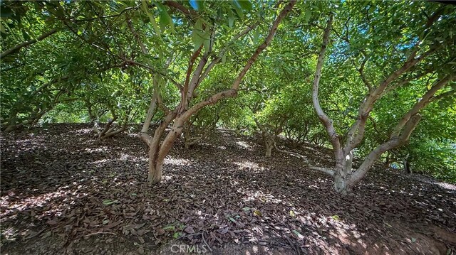 45100 La Cruz Dr, Temecula, CA 92590 - photo 45