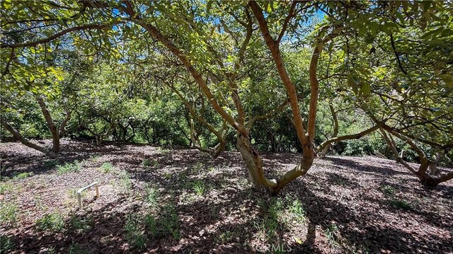 45100 La Cruz Dr, Temecula, CA 92590 - photo 44