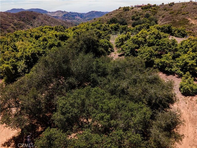 45100 La Cruz Dr, Temecula, CA 92590 - photo 53