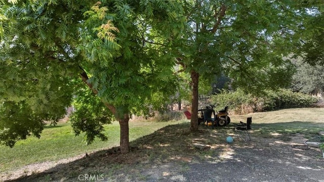 3731 Olive, Oroville, CA 95966 - photo 4