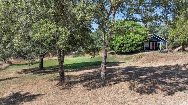 3731 Olive, Oroville, CA 95966 - photo 5