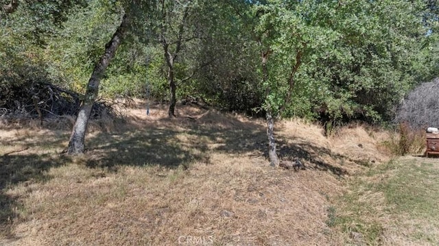 3731 Olive, Oroville, CA 95966 - photo 9