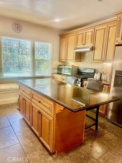 13621 Erwin St, Van Nuys, CA 91401 - kitchen with stainless steel appliances, under cabinet range hood, dark stone counters, tasteful backsplash, and a kitchen island