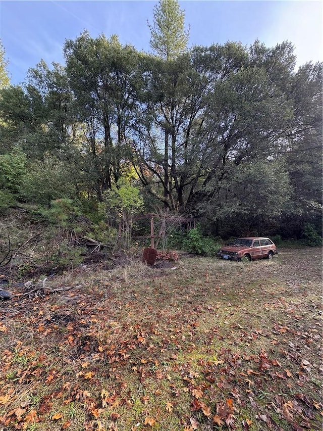 24 Broken Springs Rd, Oroville, CA 95966 - photo 19