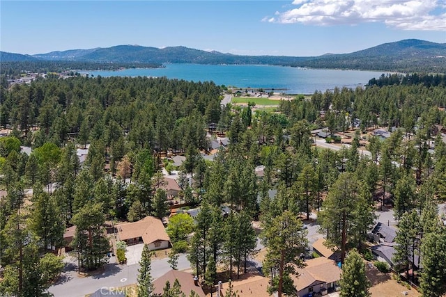 438 Wren Dr, Big Bear Lake, CA 92315 - photo 2