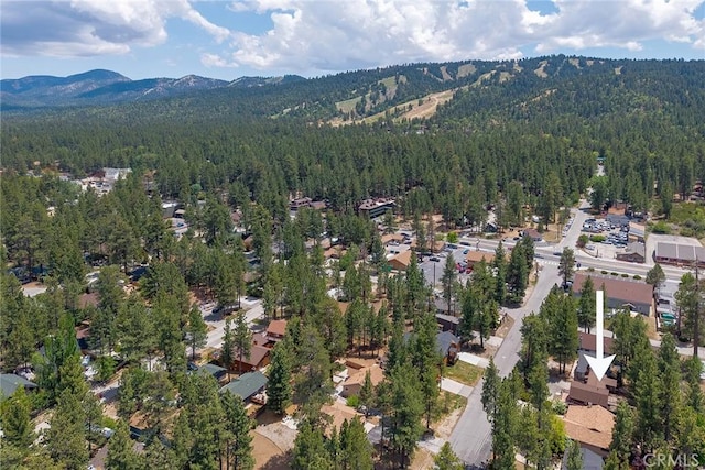 438 Wren Dr, Big Bear Lake, CA 92315 - photo 6