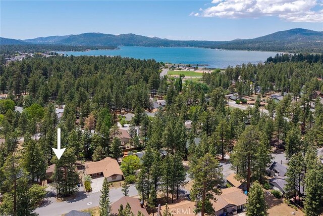 438 Wren Dr, Big Bear Lake, CA 92315 - photo 3
