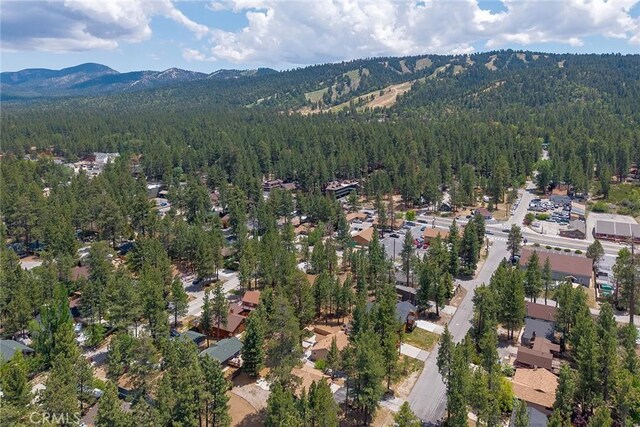 438 Wren Dr, Big Bear Lake, CA 92315 - photo 5