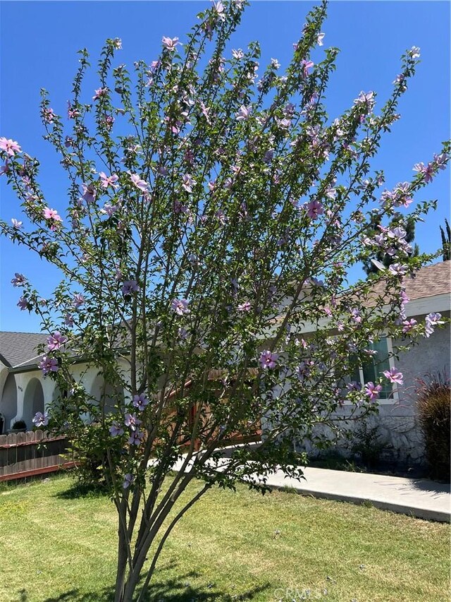 1160 N Laspina St, Tulare, CA 93274 - photo 3