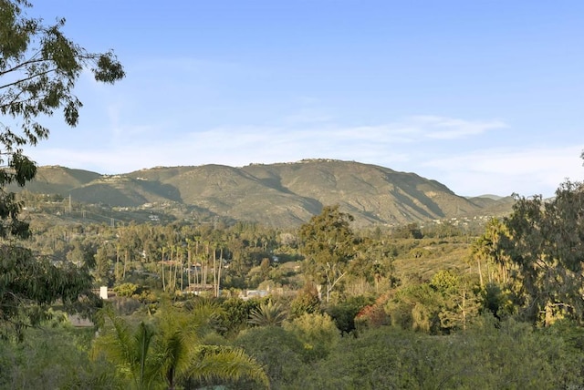 17037 El Mirador, Rancho Santa Fe, CA 92067 - photo 14