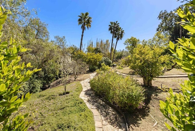 17037 El Mirador, Rancho Santa Fe, CA 92067 - photo 28