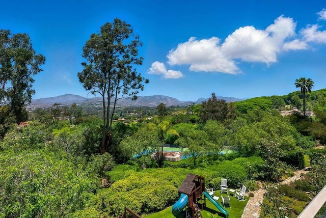 17037 El Mirador, Rancho Santa Fe, CA 92067 - photo 6