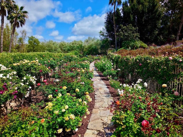 17037 El Mirador, Rancho Santa Fe, CA 92067 - photo 27