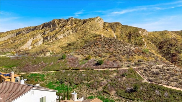 29408 Gary Dr, Canyon Country, CA 91387 - photo 58