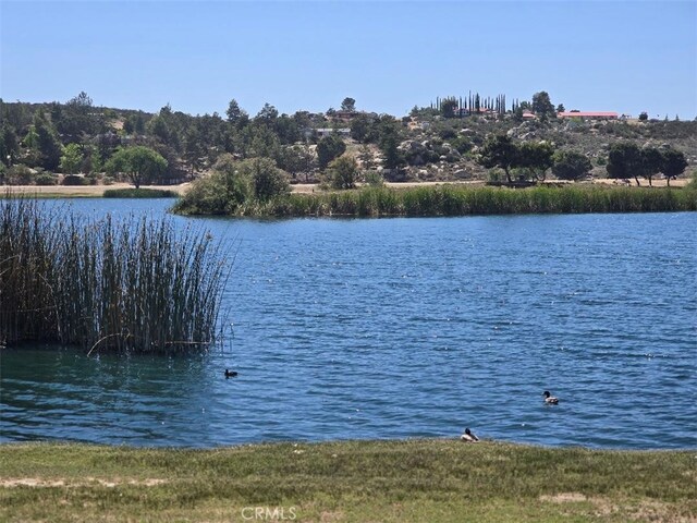 335 Indian Hills Trl, Aguanga, CA 92536 - photo 10