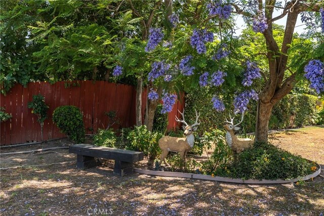 530 Bradbury Rd, Monrovia, CA 91016 - view of yard