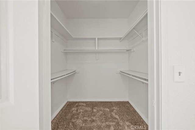 4706 Sepulveda Blvd, Sherman Oaks, CA 91403 - spacious closet featuring carpet flooring