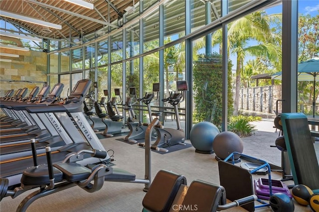 3100 Rivington, Irvine, CA 92612 - gym with a towering ceiling and carpet floors