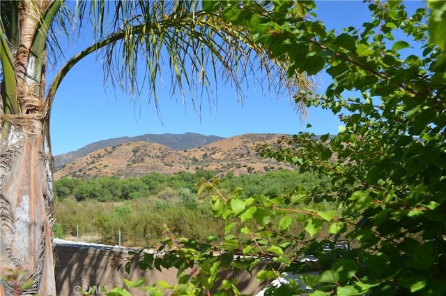 25592 Aragon Way, Yorba Linda, CA 92887 - view of mountain background