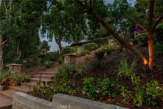 1525 Ramona Dr, Camarillo, CA 93010 - view of yard
