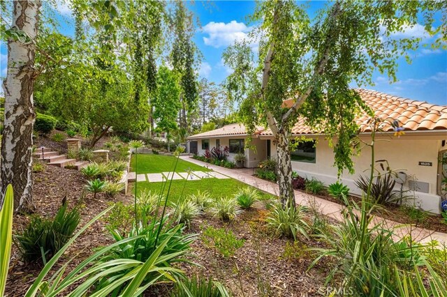 1525 Ramona Dr, Camarillo, CA 93010 - view of grassy yard