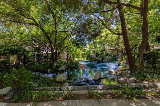 4900 E Chapman Ave Unit 111, Orange, CA 92869 - photo 33