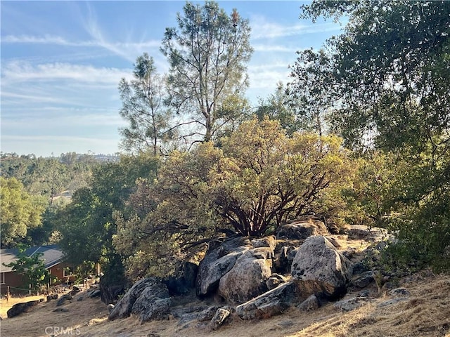 44293 Copper Creek Way, Coarsegold, CA 93614 - view of nature
