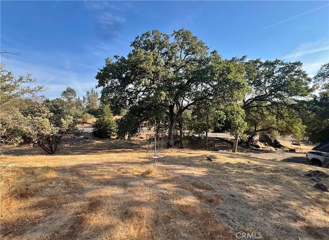 44293 Copper Creek Way, Coarsegold, CA 93614 - view of yard featuring view of scattered trees